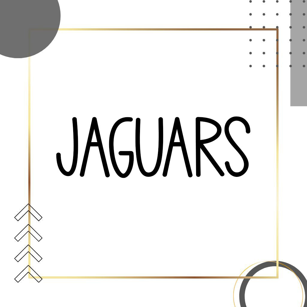 DESOTO CENTRAL JAGUARS